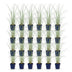 Green boutiQ - Gräser - Miscanthus sin. Morning Light - Pampasgras - Mit Feder - Silber - 24 Pflanzen - Topf 11cm - Höhe 15-25cm Bild 2