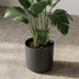 Elho B.for soft Topf Anthrazit, 18 cm Bild 6