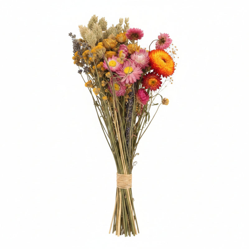 12x Field Bouquet Multi Trockenstrauß 35cm Ø15 Bunt