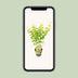Acer palmatum 'Going Green' - Japanischer Ahorn, Ø15cm, 30cm hoch Bild 5