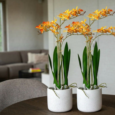 Renanthera Orchidee gelb/orange 2 Stück - Bündelprodukt - Kunstpflanzen