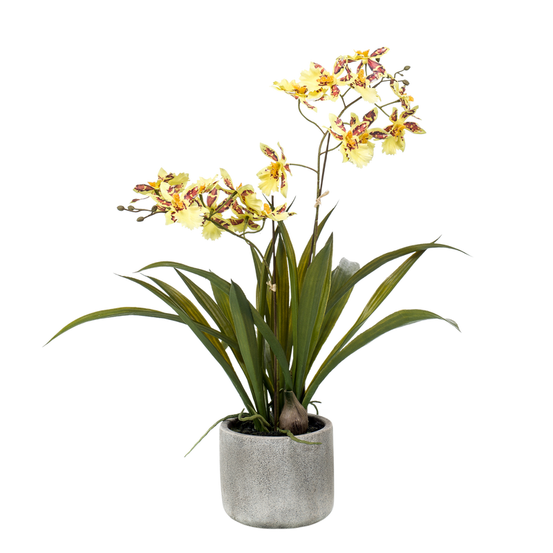 Künstliche Orchidee Gelb/Braun, 45cm – Langlebig & Pflegeleicht