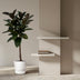 Ficus Elastica Robusta Stamm - 130 cm - Ø24cm - Blattpflanze Bild 2