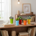 Succulent Mix 5-Pack, 5.5 cm, in a colored pot Bild 8