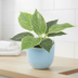 Künstlicher Philodendron Birkin, 20cm Bild 2