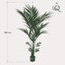 Artificial Kentia Palm 180 cm – Tropical Flair for Your Home Bild 2