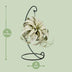 Tillandsia King Xero Air Plant, Ø12cm, height 23cm Bild 2