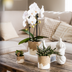 Kolibri Bloom Decorative Pot - Sand - Ø9cm | Stylish Flower Pot with Blossom Pattern Bild 4