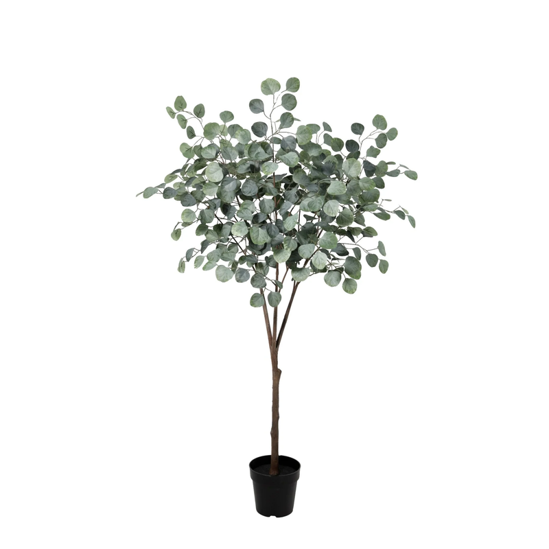 Artificial Eucalyptus Tree 150 cm – Lifelike Indoor Decor
