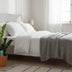 Zamioculcas Zamiifolia (ZZ-Pflanze) Ø17cm H65cm Bild 3
