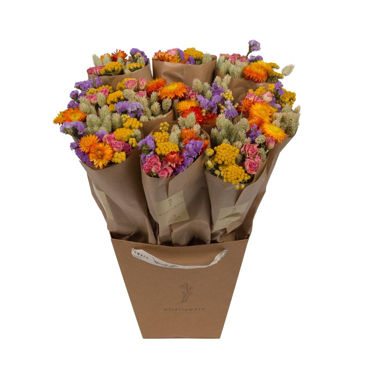 Getrocknete Blumen - Market More - Multi - ↕50cm - 10x
