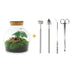 Little Joe Bottle Garden DIY Kit: Mini Ecosystem for Your Home Bild 1