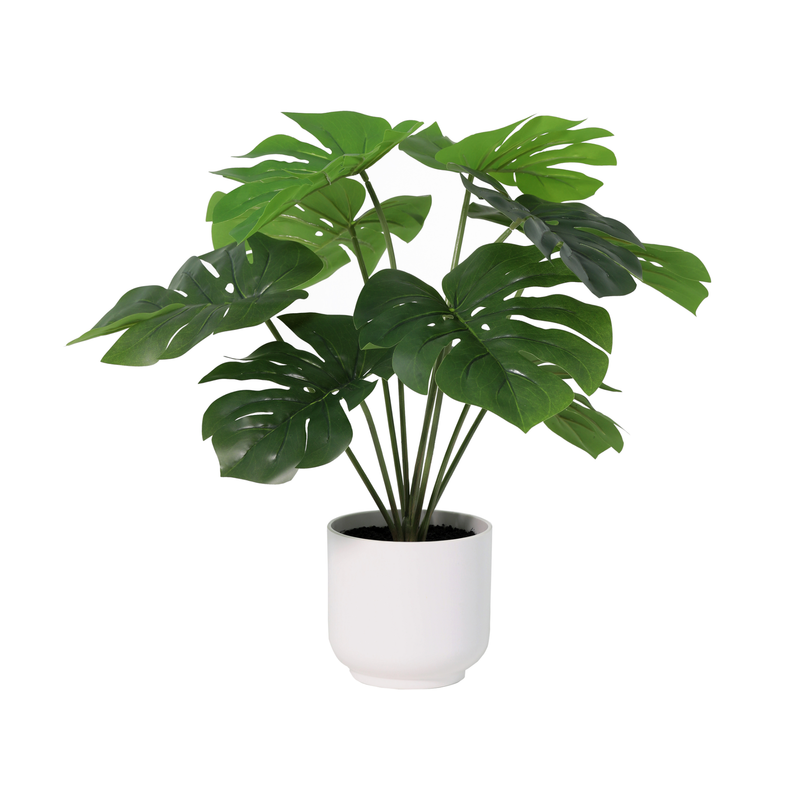 Artificial Monstera Deliciosa in White Pot, 50cm
