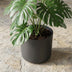 Elho B.for soft Blumentopf Anthrazit 25 cm Bild 5