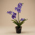 Vanda Kunstorchidee Lila, 60 cm, im Topf - Pflegeleicht & Dekorativ Bild 2