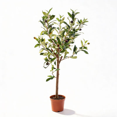 Künstlicher Olivenbaum im Topf, 65 cm – Mediterraner Charme