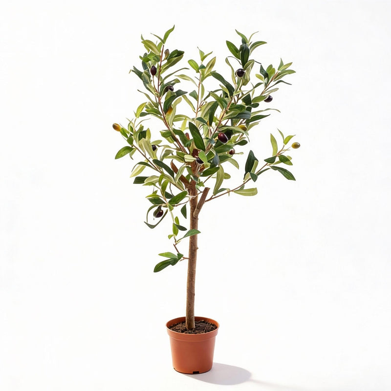 Artificial Olive Tree in Pot, 65 cm – Mediterranean Charm