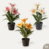Lilien Mix - 3 Stück - Bündelprodukt - Kunstpflanzen Bild 1