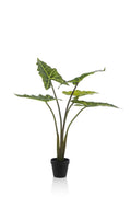 Kunstpflanze - Alocasia Frydek - 80 cm