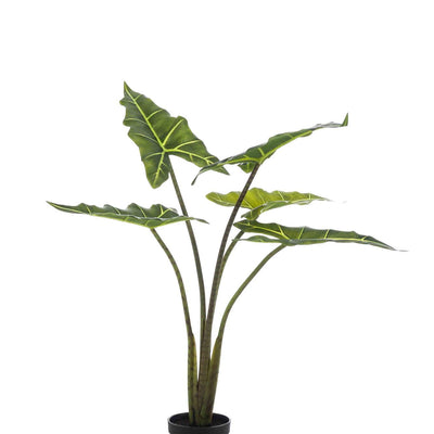 Kunstpflanze Alocasia Frydek, 80 cm – Pflegeleicht & Dekorativ
