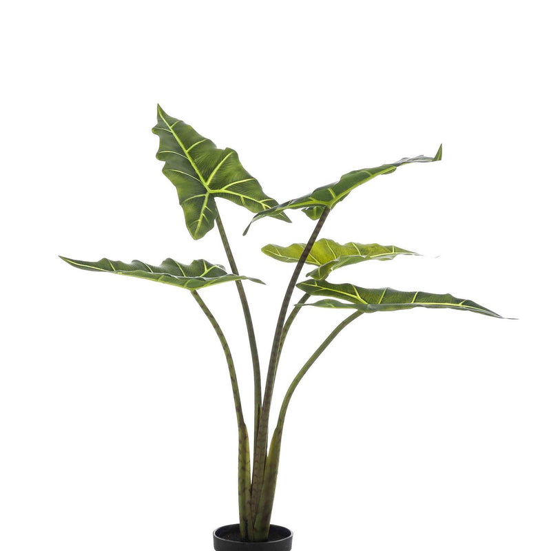 Artificial Plant Alocasia Frydek, 80 cm – Easy-Care & Decorative