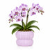 Kolibri Home | Horizon Übertopf - Rosa - ∅6cm Bild 2