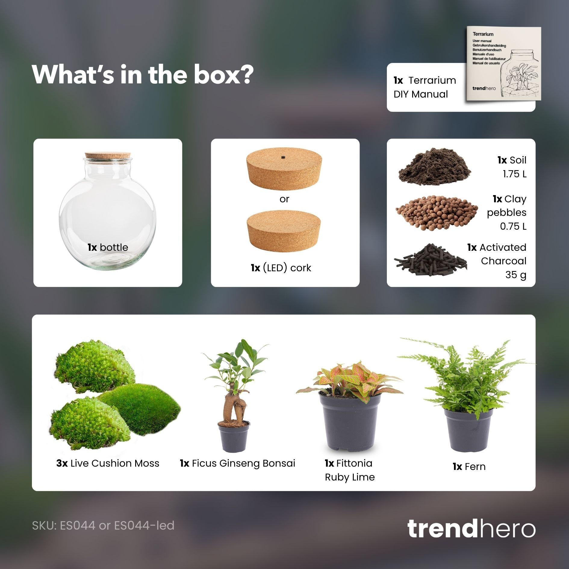 DIY Planten terrarium met licht - Bolder Bob Bonsai - Ø 31 cm ↑ 30 cm