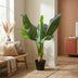 KÜNSTLICHE Bananenpflanze Musa - 80 cm Bild 5