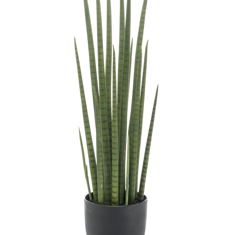 Artificial Sansevieria Cylindrica - Snake Plant, 70 cm