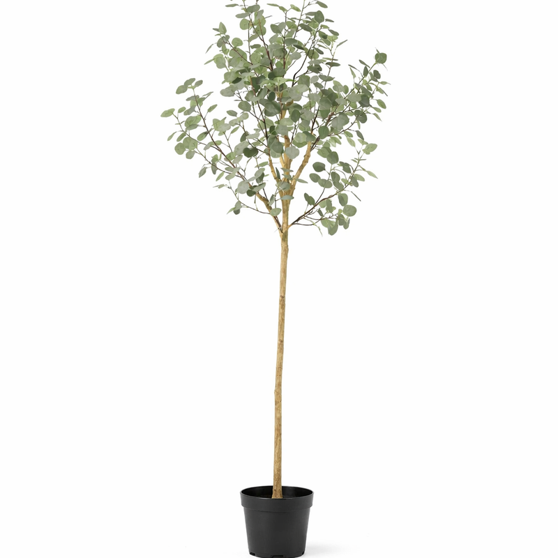 Künstlicher Eukalyptus 180 cm – Naturgetreue Deko ohne Pflege