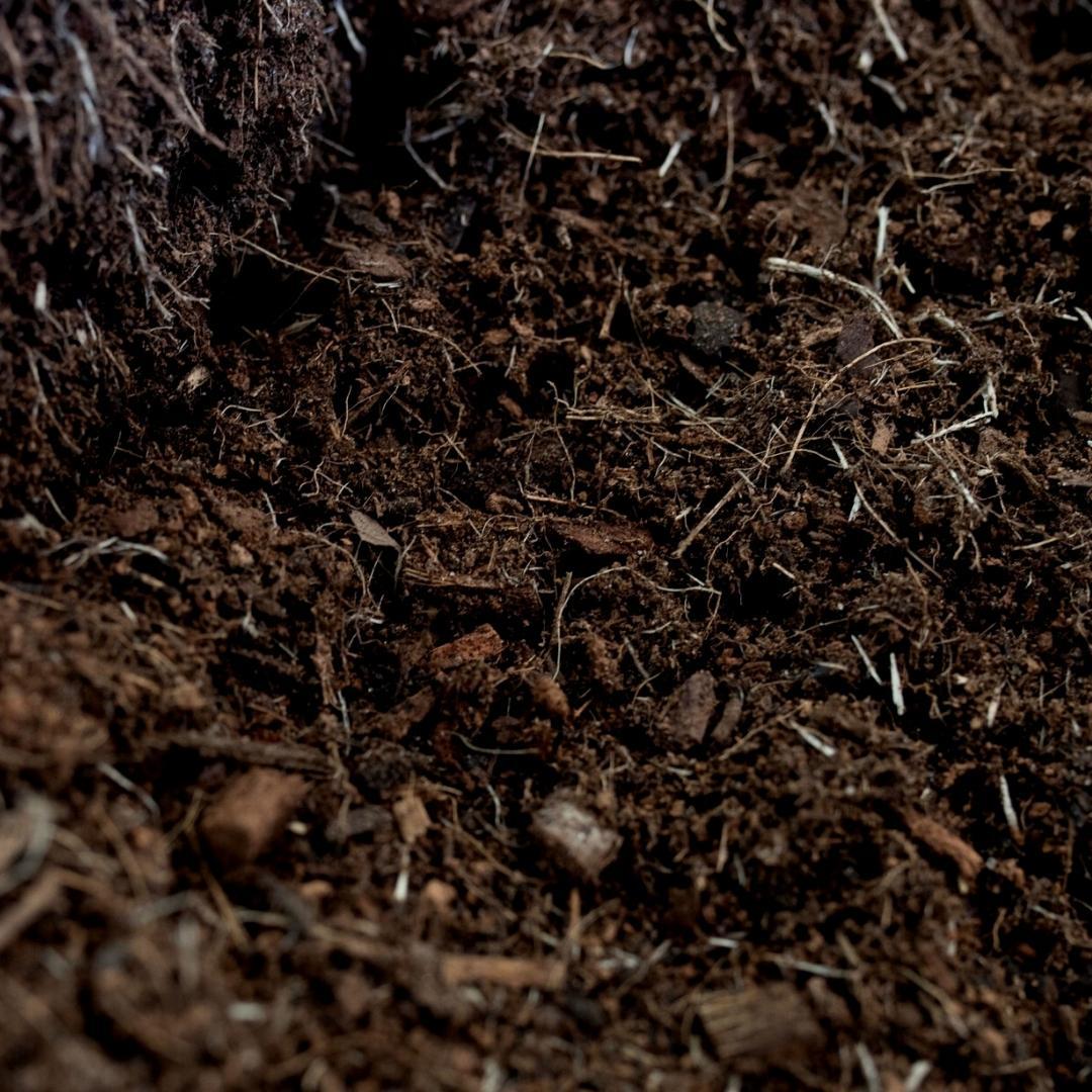 Culvita Universal Blumenerde inkl. 2 Monate Pflanzennahrung - Universal Blumenerde für Pflanzen im Innen- und Außenbereich - 40 liter