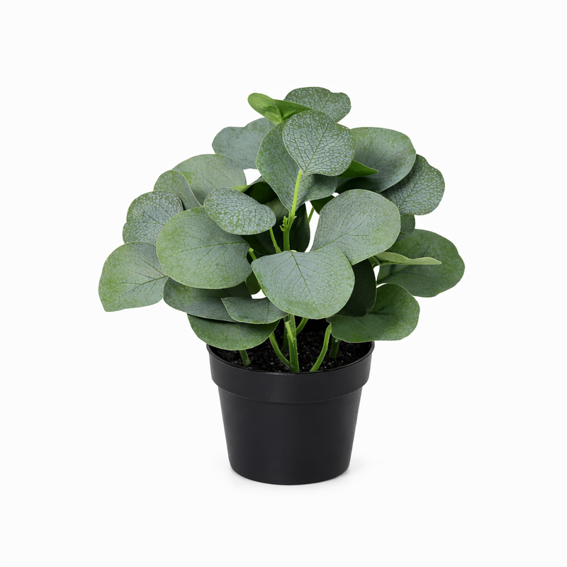 Künstlicher Eukalyptus, 21cm - Mediterranes Deko-Flair ohne Pflege