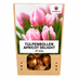 Tulpenzwiebeln Apricot Delight – 20 Stück | KH Bloembollen® | Rosa-Apricot-Tulpe – Sanft & Frisch – Geschenk für Garten oder Topf – Größe 11/12 – Frisch vom Züchter! Bild 7