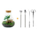 Bottle Garden Sammie Coffea: Self-Sufficient Mini-Biotop for Your Home Bild 1
