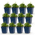 Green boutiQ - Perennial - Campanula portenschlagiana Tricolour - Peachleaf bellflower - Groundcover - Purple - Pink - White - 12 Plants - Pot 11cm - Height 15-25cm Bild 2