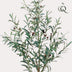 Artificial Olive Tree Olea europaea - 115 cm - Easy-care & Decorative Bild 4