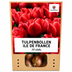 Tulpenbollen Ile de France – 20 Stück | KH Bloembollen® | Dieprode Tulp – Klassiek, Krachtig & Elegant – Voor Tuin of Pot – Maat 11/12 – Vers van de Teler Bild 1