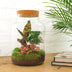 Flaschengarten DIY Set: 30cm hoch, inkl. Werkzeug & Pflanzen Bild 3