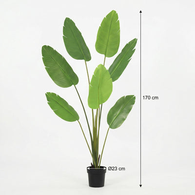 Künstliche Strelitzia Nicolai 170cm – Tropisches Flair ohne Aufwand