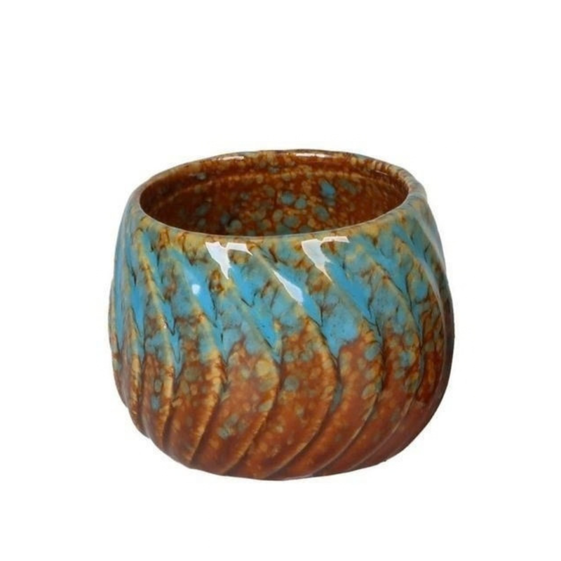 Copper Reef P6: Exotische Pflanze für Ihr Zuhause
