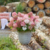Garden Hydrangea Groundbreaker Blush, hardy, pink, 20-25cm Bild 5