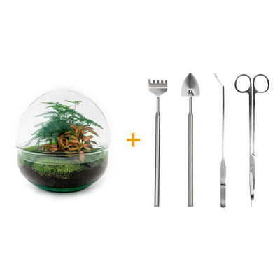 Flaschengarten Roter Dome DIY Set: Autarkes Biotop 20 cm