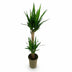 Green boutiQ - Zimmerpflanze - Yucca elephantipes - Yucca - Wenig Pflege - Grün - 1 - Topf 19cm - Höhe 95cm Bild 2