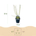 GreenboutiQ Cornus alba Tricolour - 3 Pflanzen im 17cm Topf Bild 2