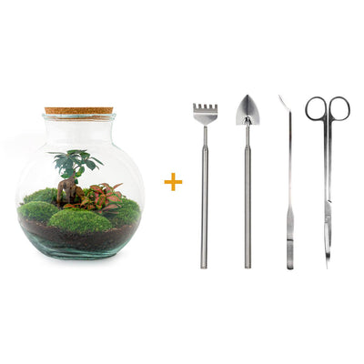 Flaschengarten Teddy-Bonsai DIY-Set mit Zubehör, 26,5 cm