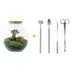 Flaschengarten Teddy-Bonsai DIY-Set mit Zubehör, 26,5 cm Bild 1