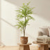 Künstlicher Sophora Baum (Honigbaum), 140 cm – Stilvolle Deko ohne Pflege Bild 4