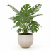 Pot Jumbo Orb Beige Washed XS - D69 x H57 Bild 3