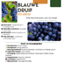 „Früchte-Oase“ BIO Obstpflanzen-Mix – Set mit 5 verschiedenen Sorten Bild 6