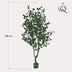Artificial Eucalyptus Tree (Blue Gum), 180 cm Bild 2